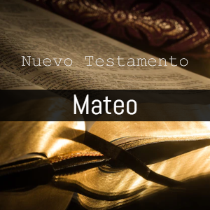 Mateo